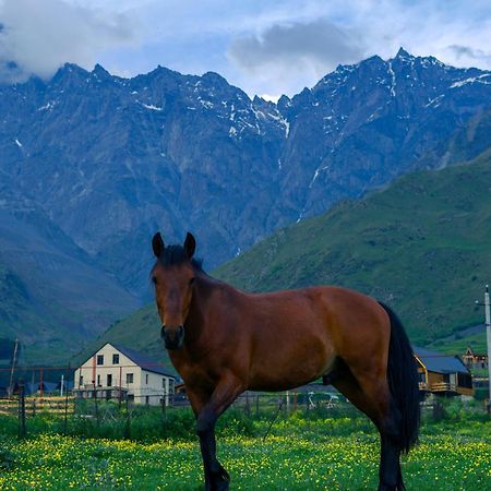 Savalley Kazbegi Buitenkant foto