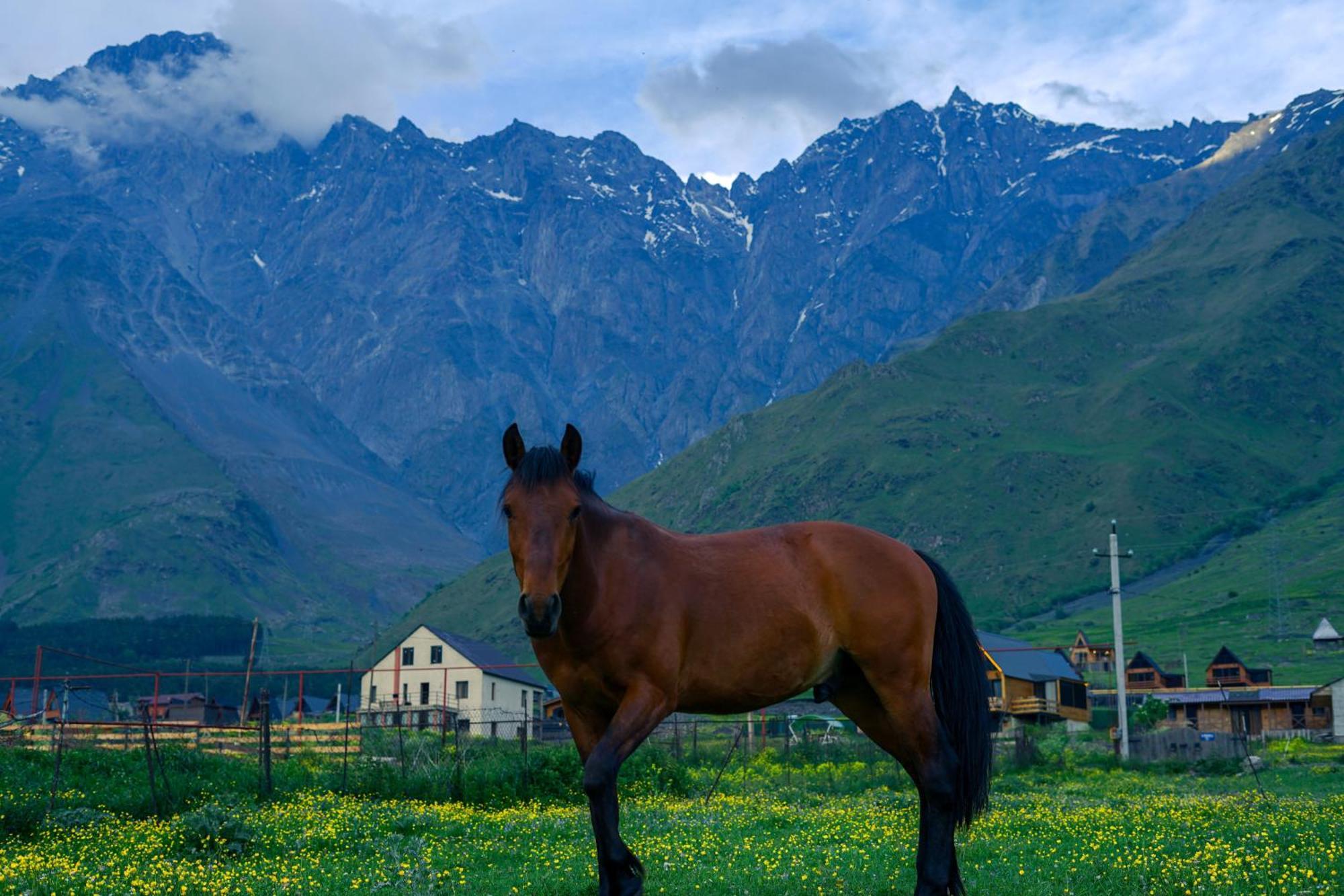 Savalley Kazbegi Buitenkant foto